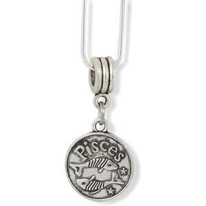 Pisces Zodiac Astrology Horoscope Charm Snake Chain Necklace